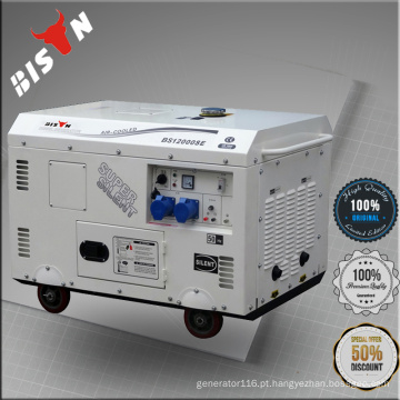 BISON 292F DIESEL POWER SILENT TIPO 12KVA GERADOR, GERADOR DE DIESEL SILENT SILENT 12KVA